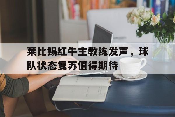 乐动体育-莱比锡红牛主教练发声，球队状态复苏值得期待